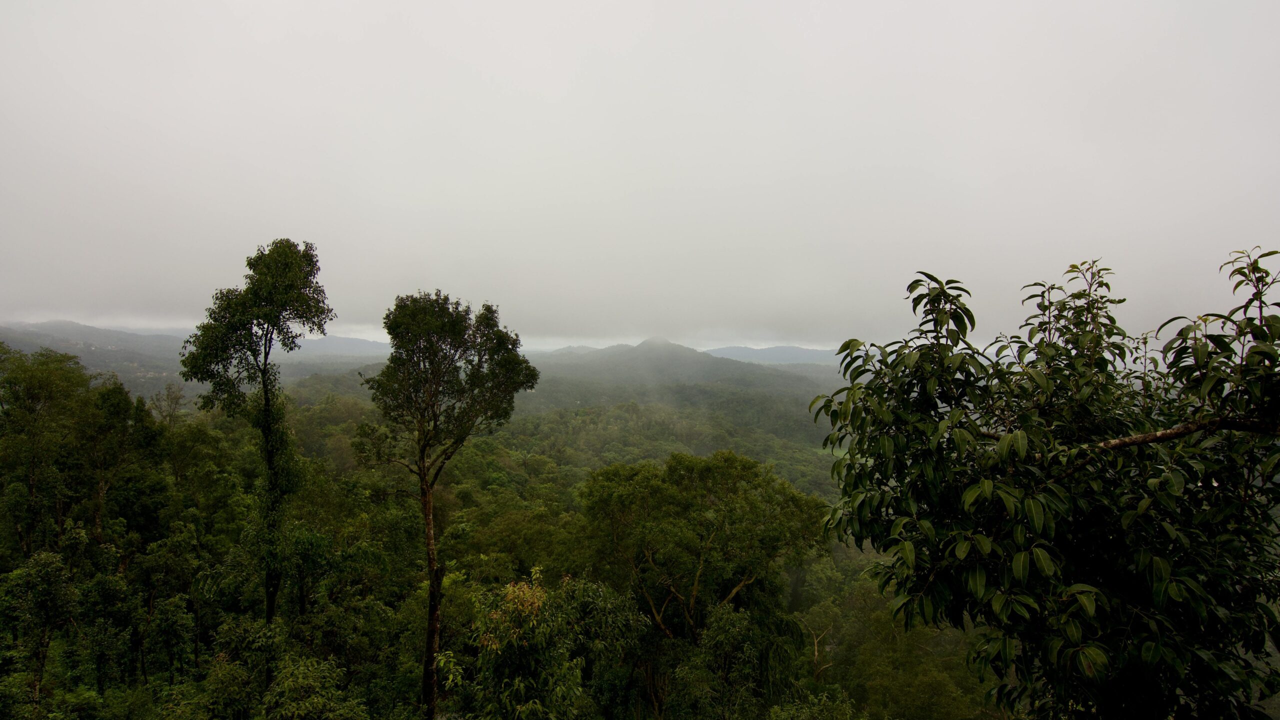 coorg