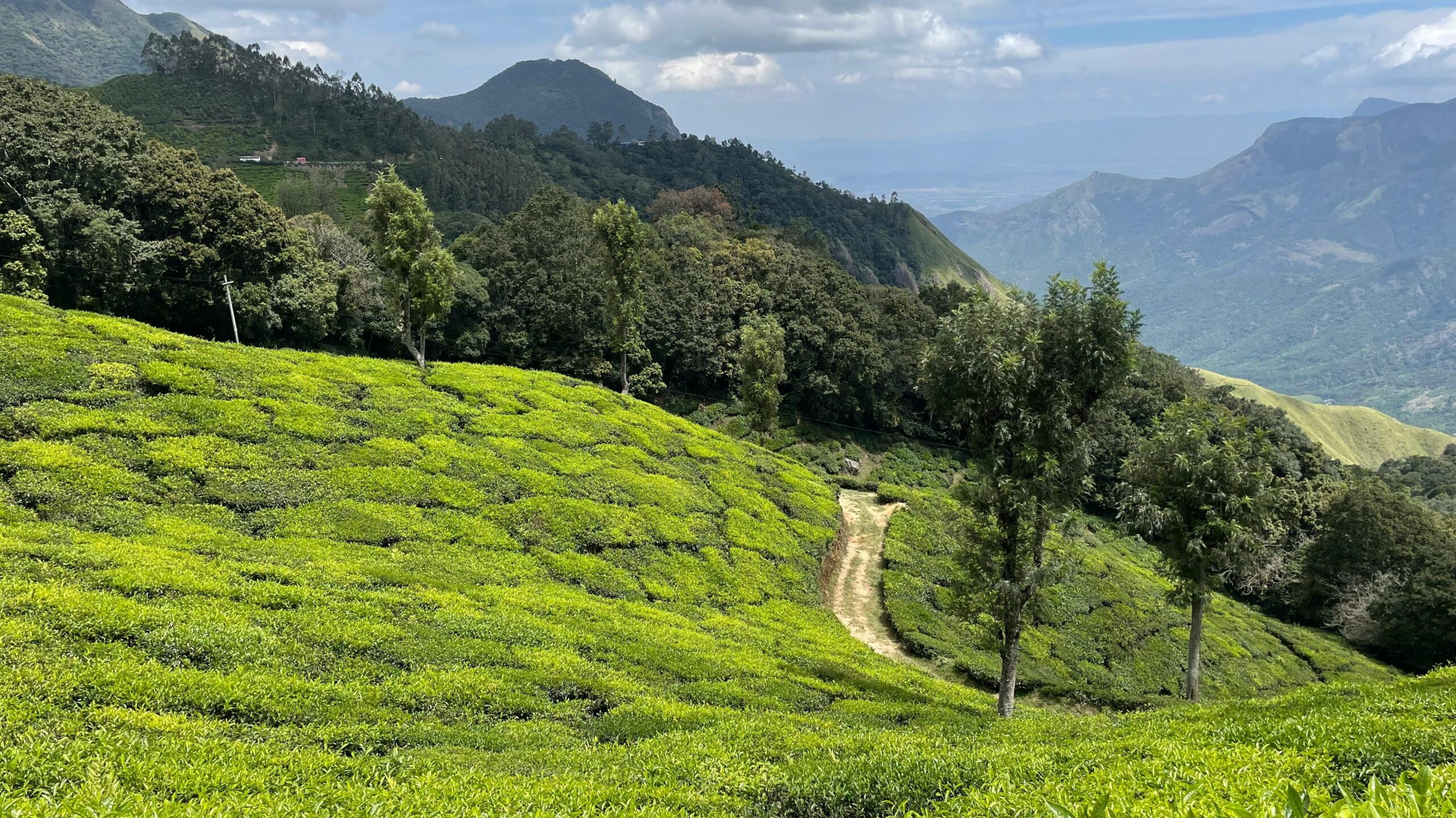 munnar