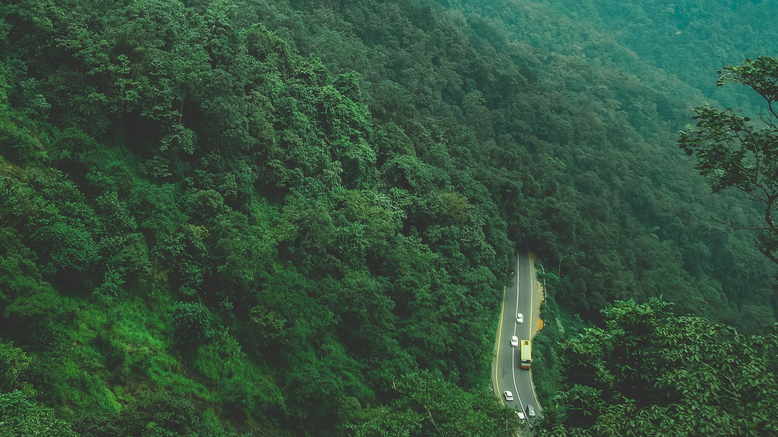 wayanad
