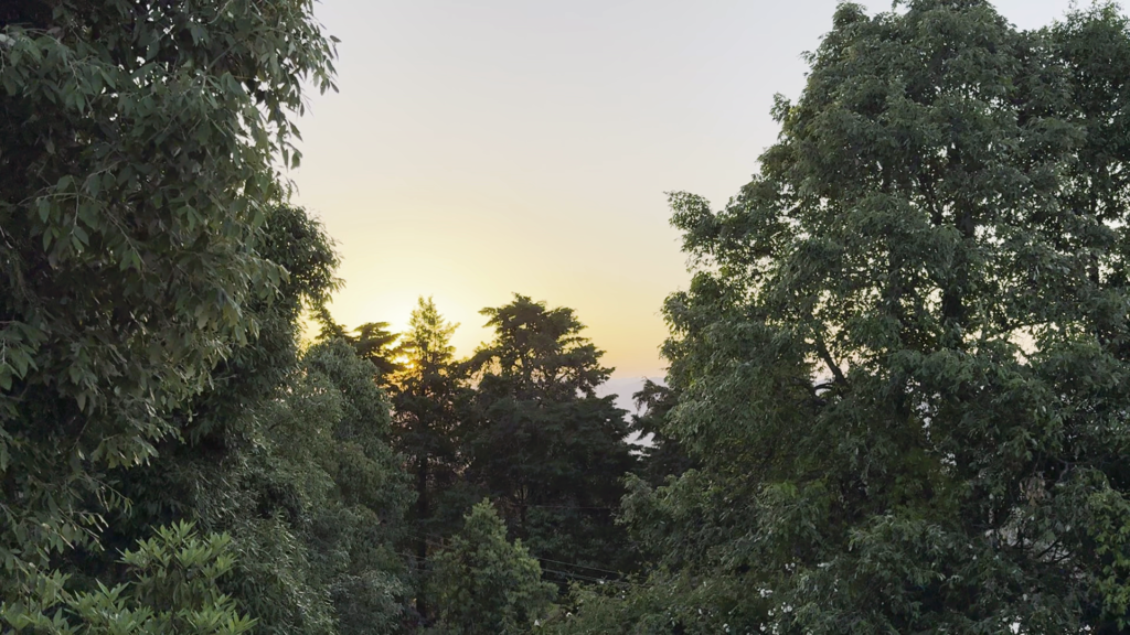 Mukteshwar Morning