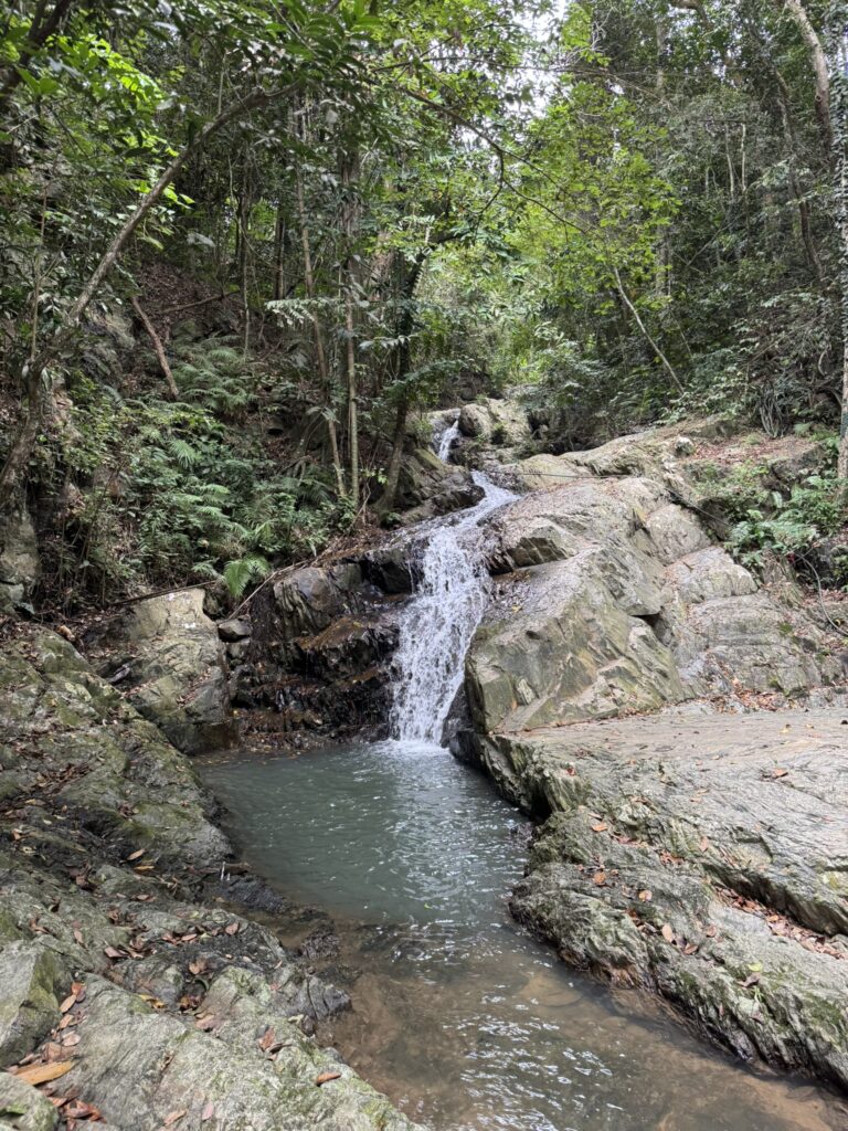 WaterFall